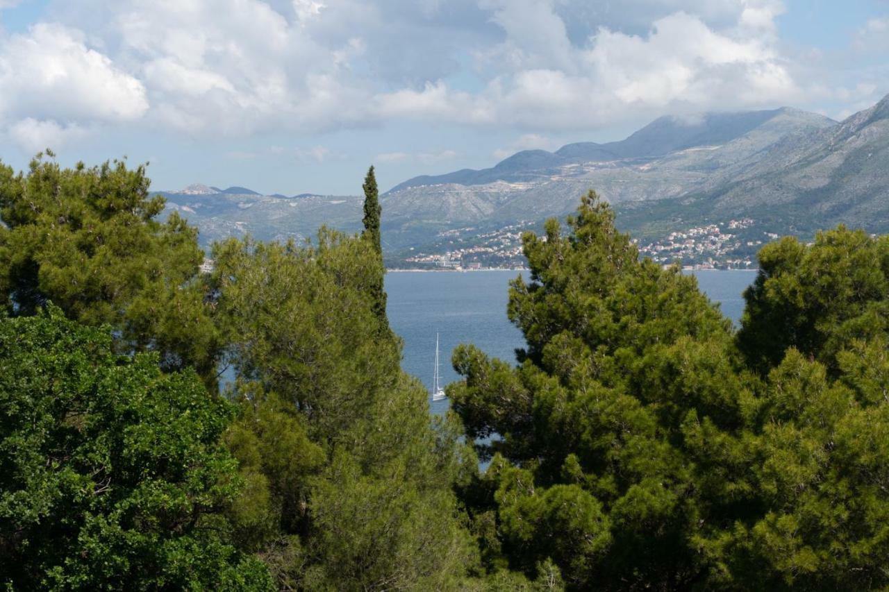 Mary Ann Apartment 2 Cavtat Bagian luar foto